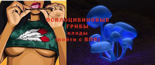 гидра Богданович