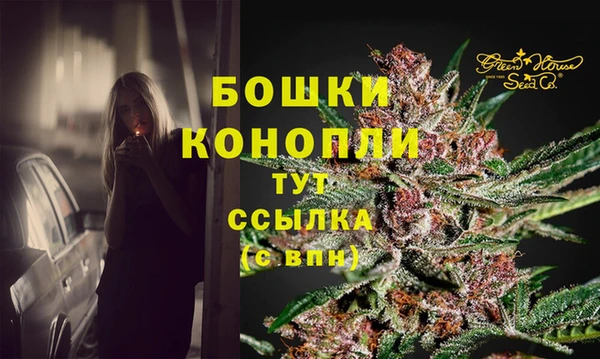 гидра Богданович