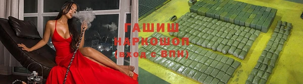 spice Богородицк