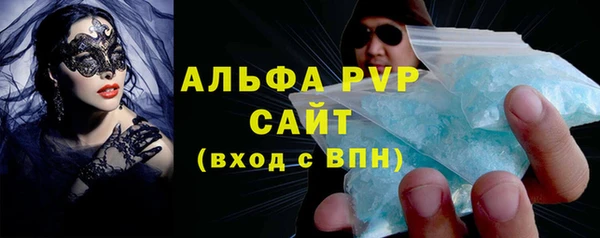 spice Богородицк