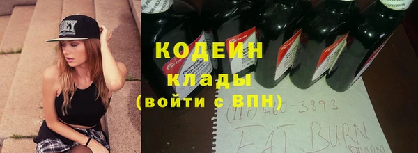 spice Богородицк