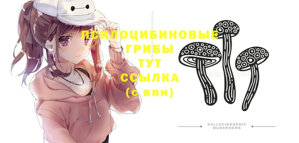 гидра Богданович