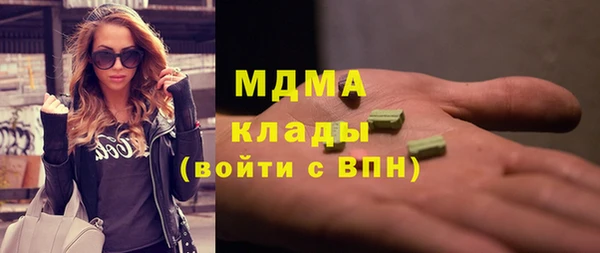 spice Богородицк