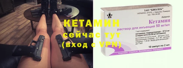 гидра Богданович