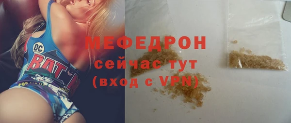 spice Богородицк