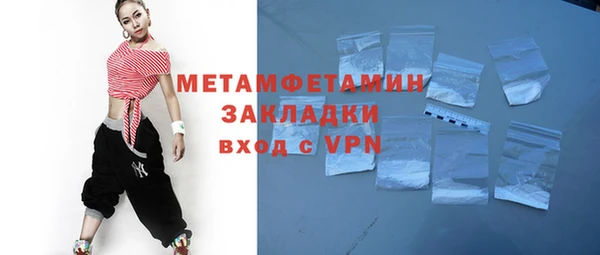 гидра Богданович