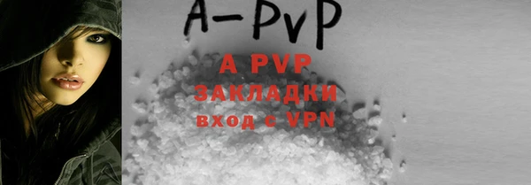 spice Богородицк