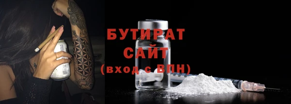 гидра Богданович