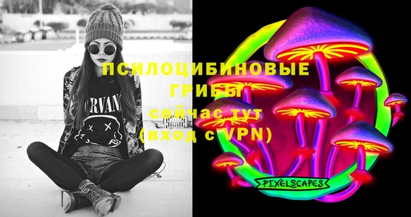 spice Богородицк