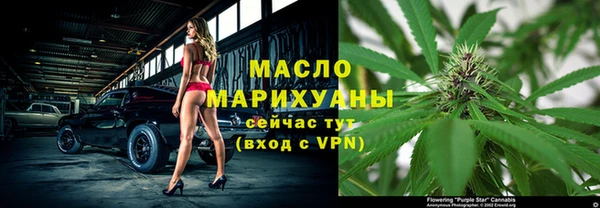 spice Богородицк