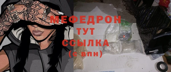 spice Богородицк