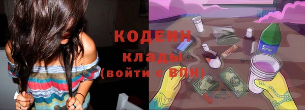 гидра Богданович